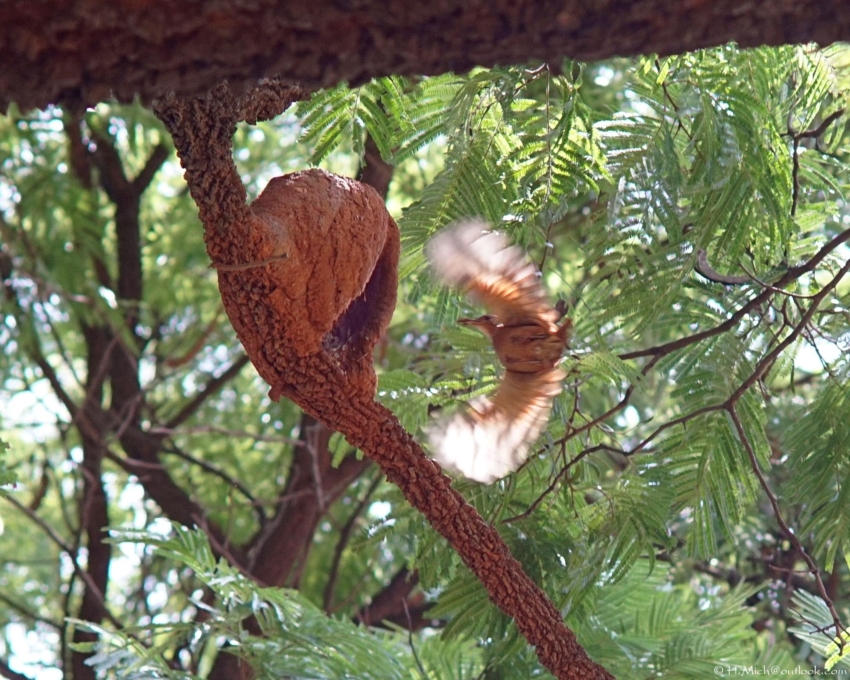 Studio-One.Art.br Repo Fotografia em Rio Preto SP/Brasil