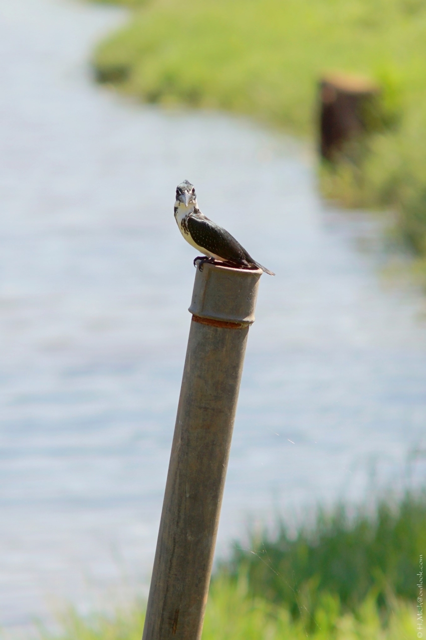 Studio-One.Art.br Repo Fotografia em Rio Preto SP/Brasil