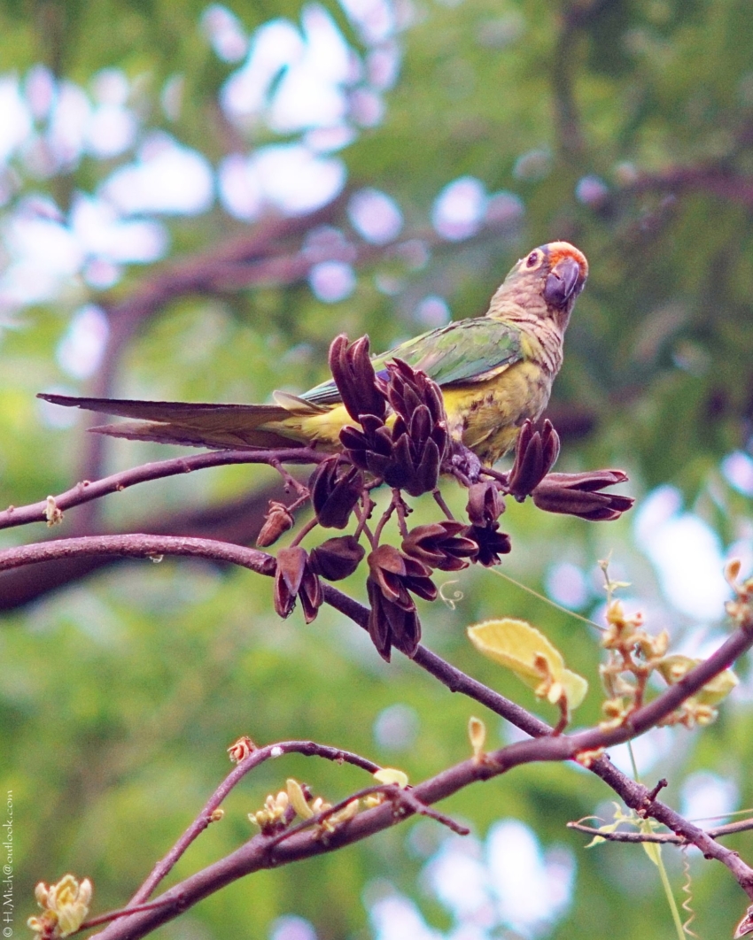 Studio-One.Art.br Repo Fotografia em Rio Preto SP/Brasil