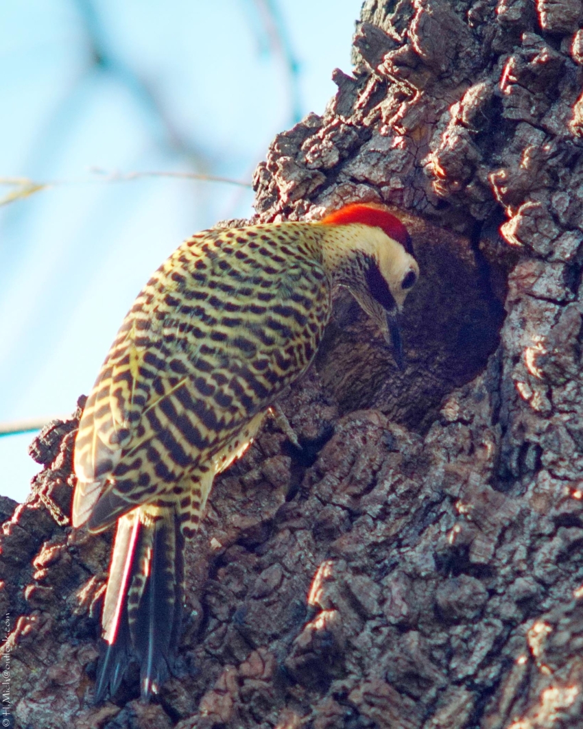 Studio-One.Art.br Repo Fotografia em Rio Preto SP/Brasil
