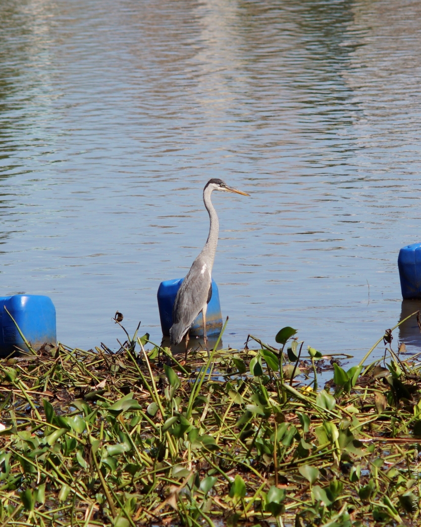 Studio-One.Art.br Repo Fotografia em Rio Preto SP/Brasil