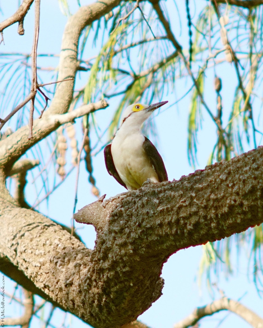 Studio-One.Art.br Repo Fotografia em Rio Preto SP/Brasil