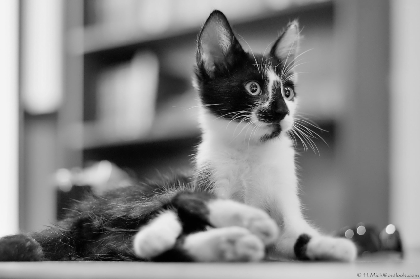 Studio-One.Art.br Repo Fotografia em Rio Preto SP/Brasil