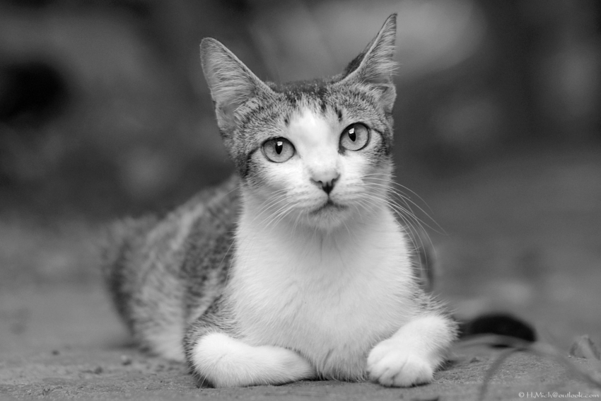 Studio-One.Art.br Repo Fotografia em Rio Preto SP/Brasil