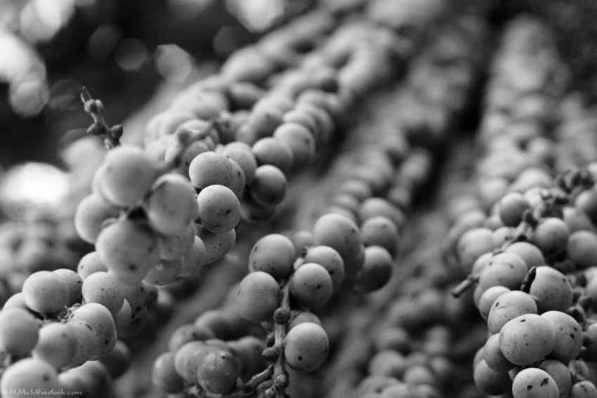 Studio-One.Art.br Repo Fotografia em Rio Preto SP/Brasil