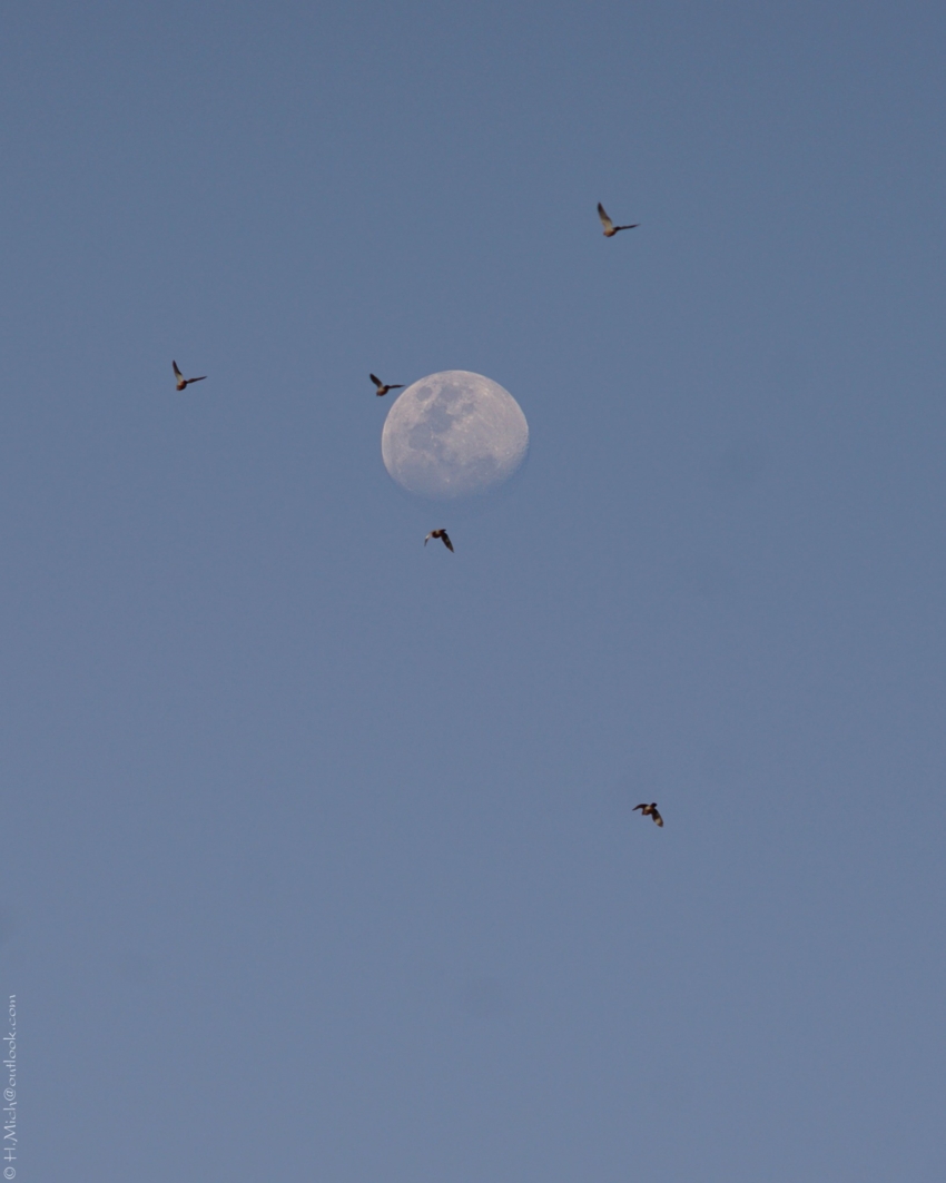 Studio-One.Art.br Repo Fotografia em Rio Preto SP/Brasil