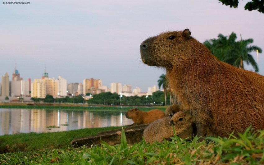 Studio-One.Art.br Repo Fotografia em Rio Preto SP/Brasil