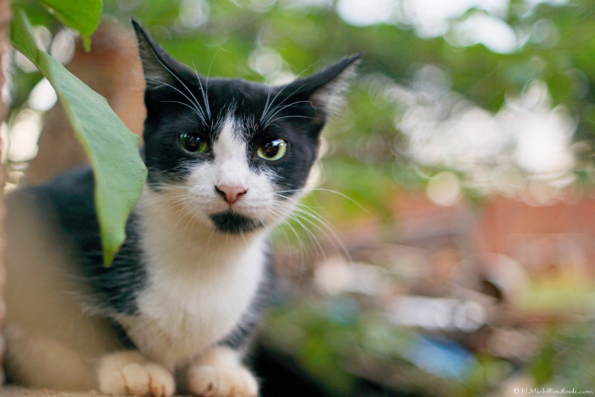 Studio-One.Art.br Repo Fotografia em Rio Preto SP/Brasil