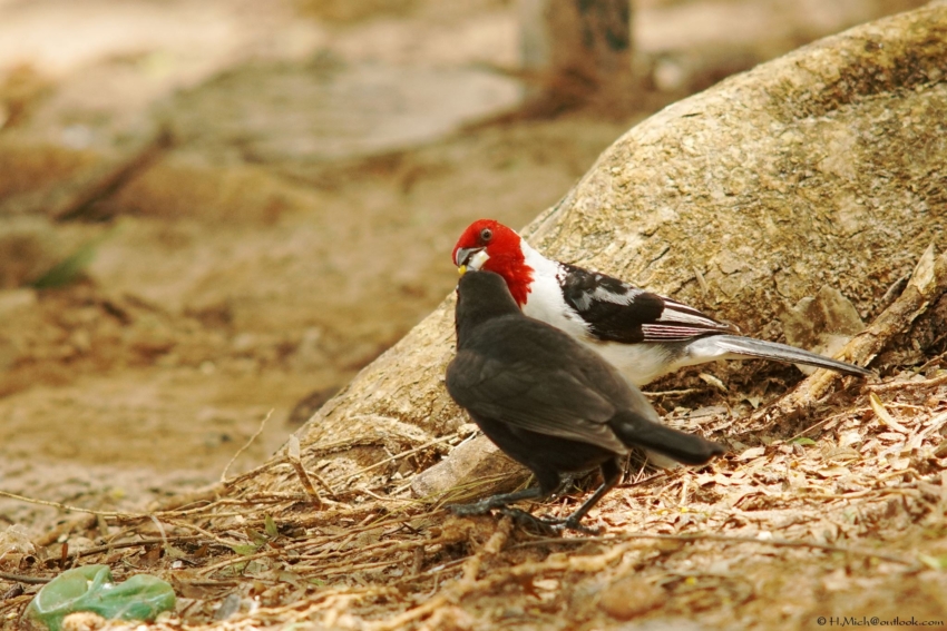 Studio-One.Art.br Repo Fotografia em Rio Preto SP/Brasil
