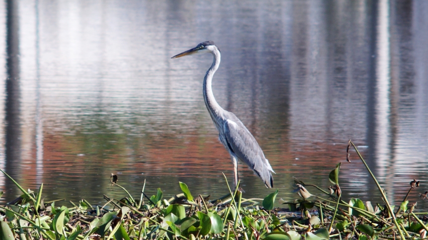 Studio-One.Art.br Repo Fotografia em Rio Preto SP/Brasil