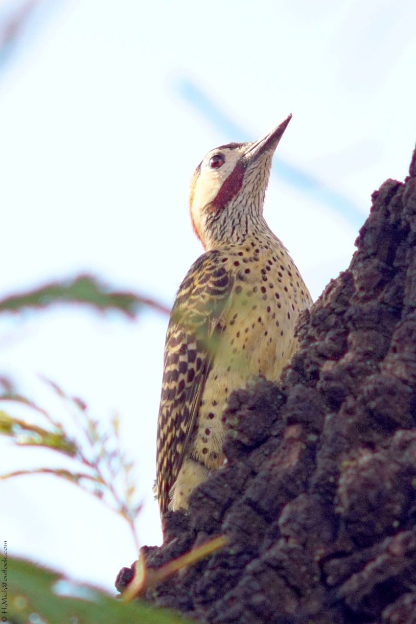 Studio-One.Art.br Repo Fotografia em Rio Preto SP/Brasil