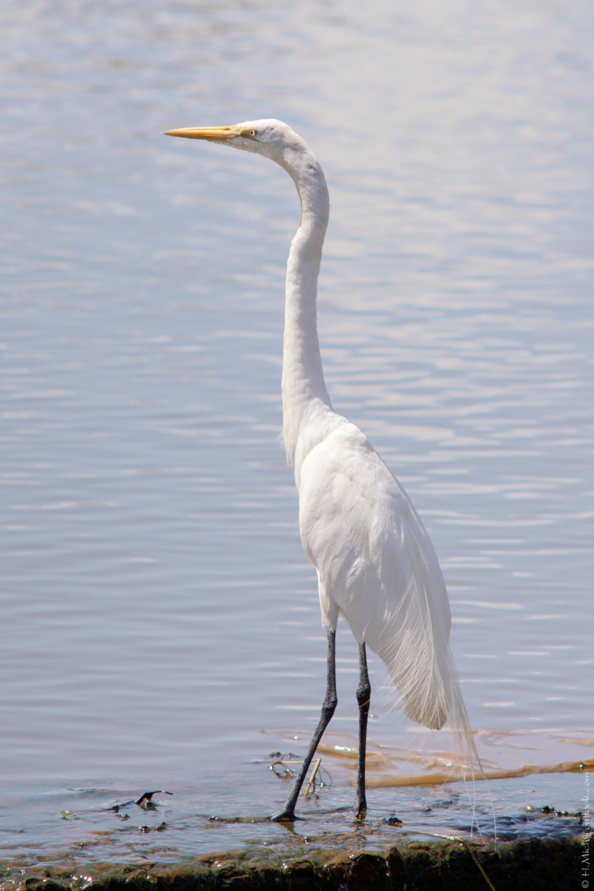 Studio-One.Art.br Repo Fotografia em Rio Preto SP/Brasil