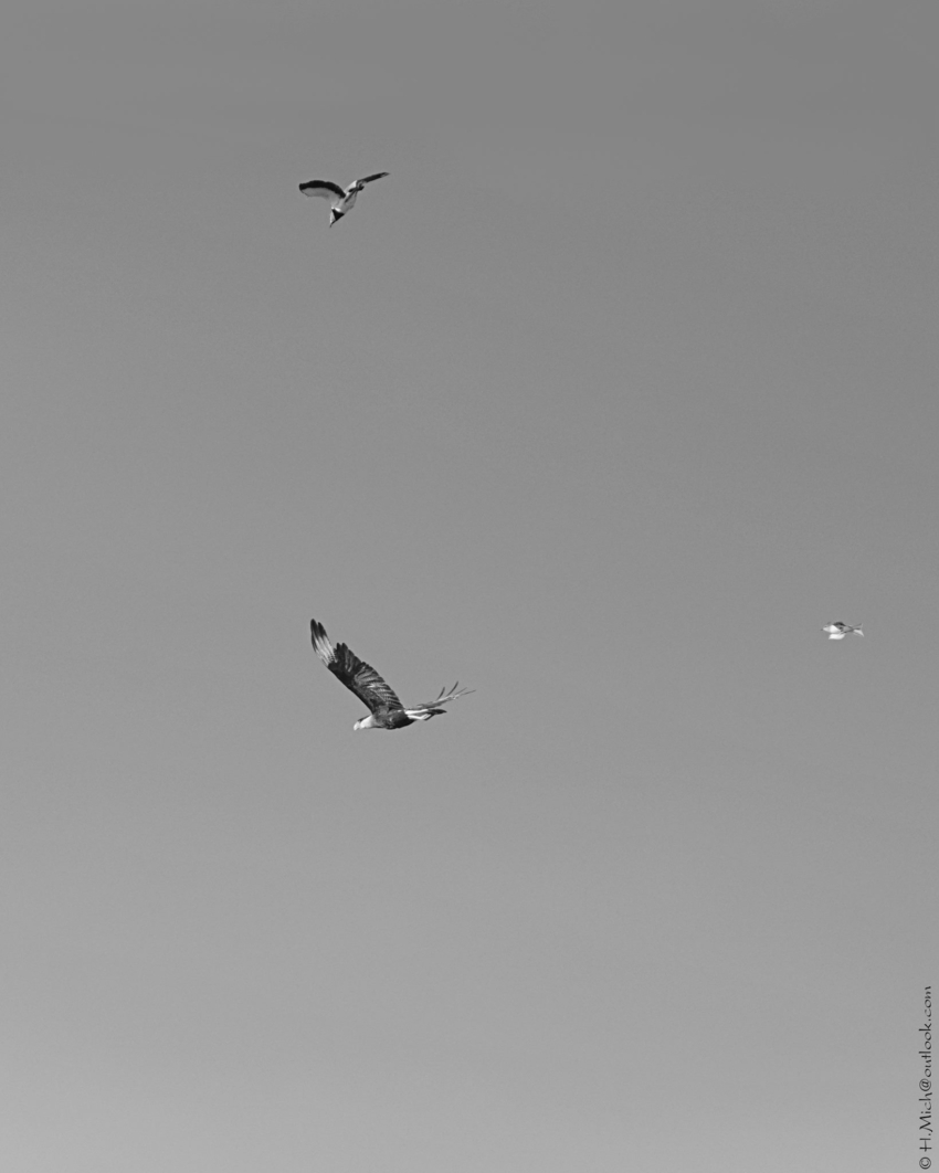 Studio-One.Art.br Repo Fotografia em Rio Preto SP/Brasil