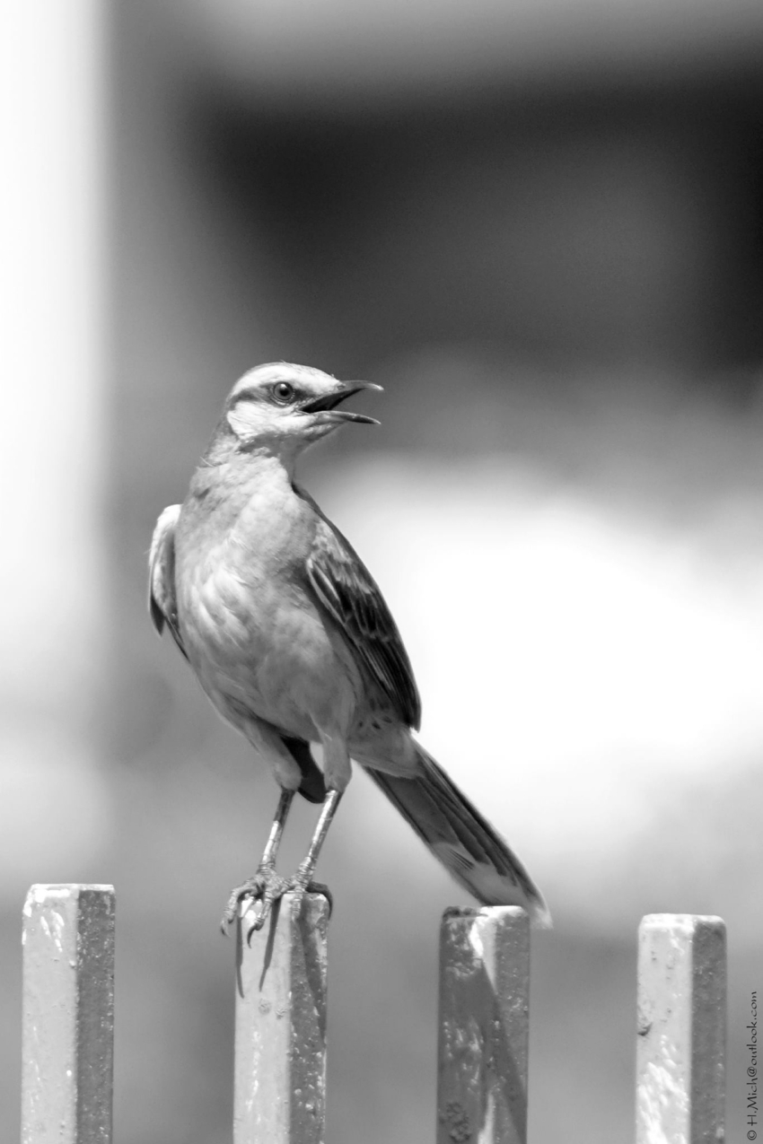 Studio-One.Art.br Repo Fotografia em Rio Preto SP/Brasil