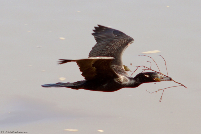 Studio-One.Art.br Repo Fotografia em Rio Preto SP/Brasil