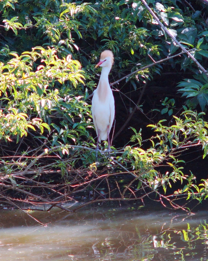 Studio-One.Art.br Repo Fotografia em Rio Preto SP/Brasil