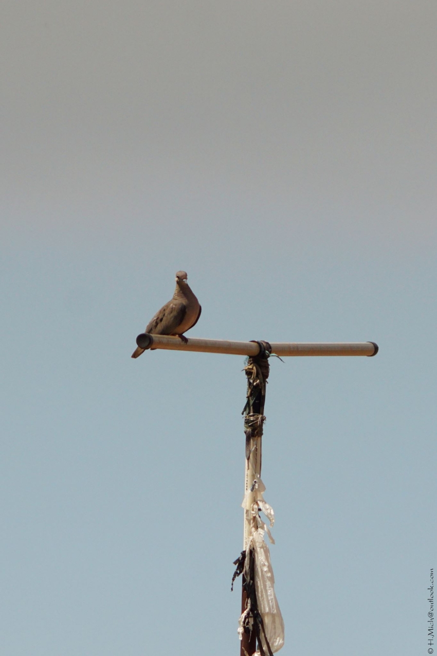 Studio-One.Art.br Repo Fotografia em Rio Preto SP/Brasil