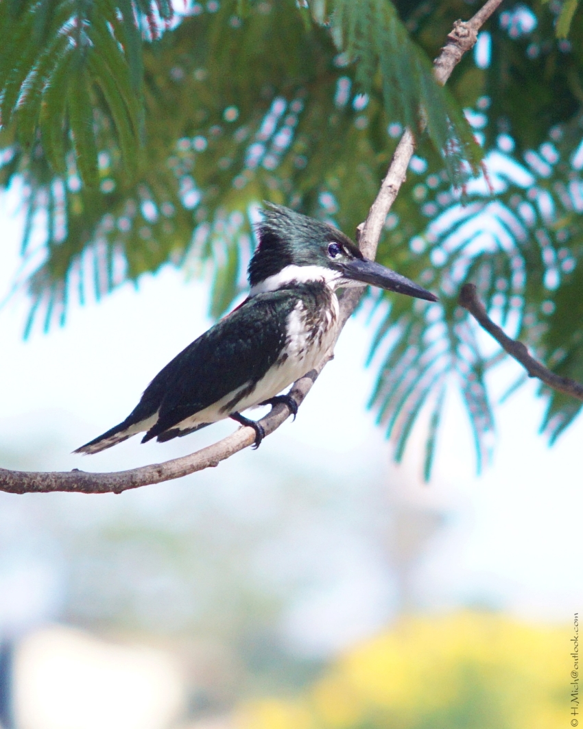 Studio-One.Art.br Repo Fotografia em Rio Preto SP/Brasil