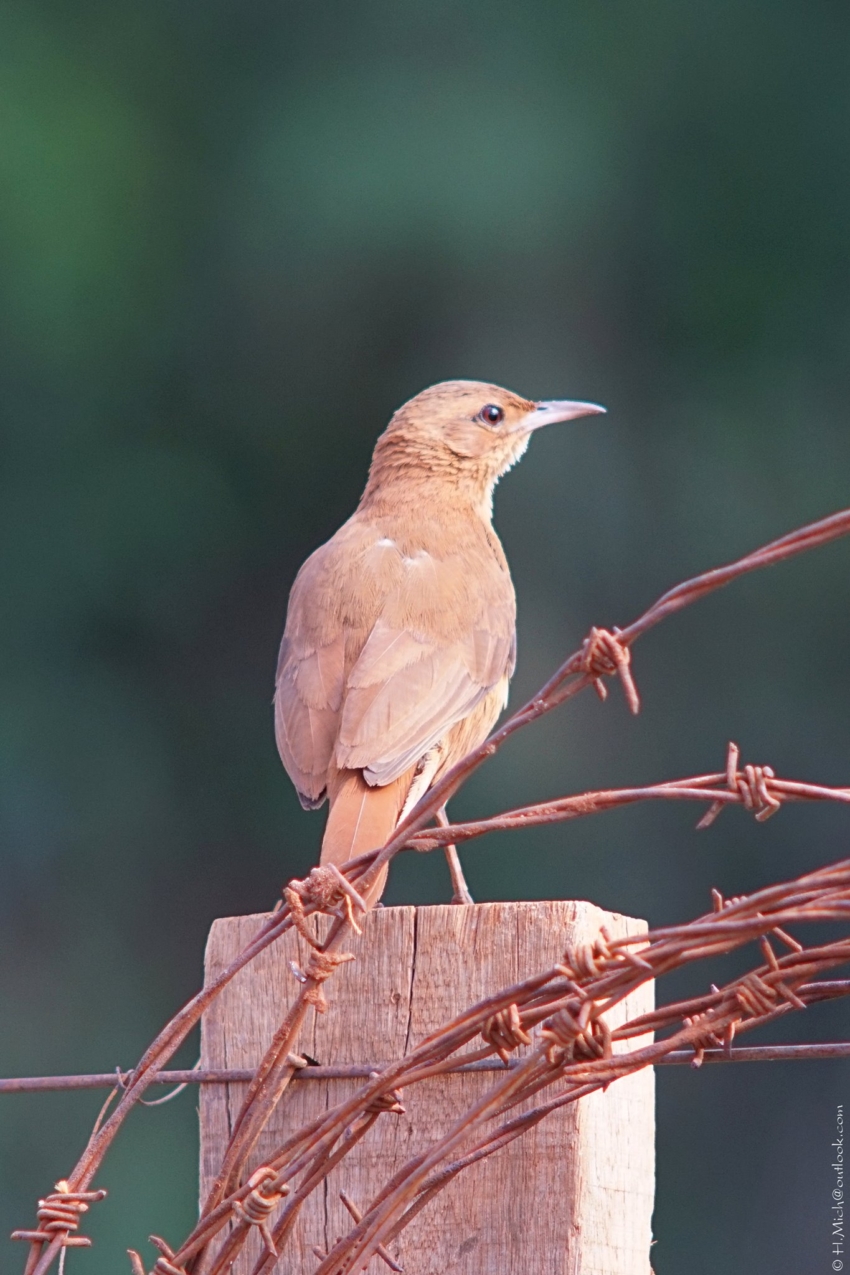 Studio-One.Art.br Repo Fotografia em Rio Preto SP/Brasil
