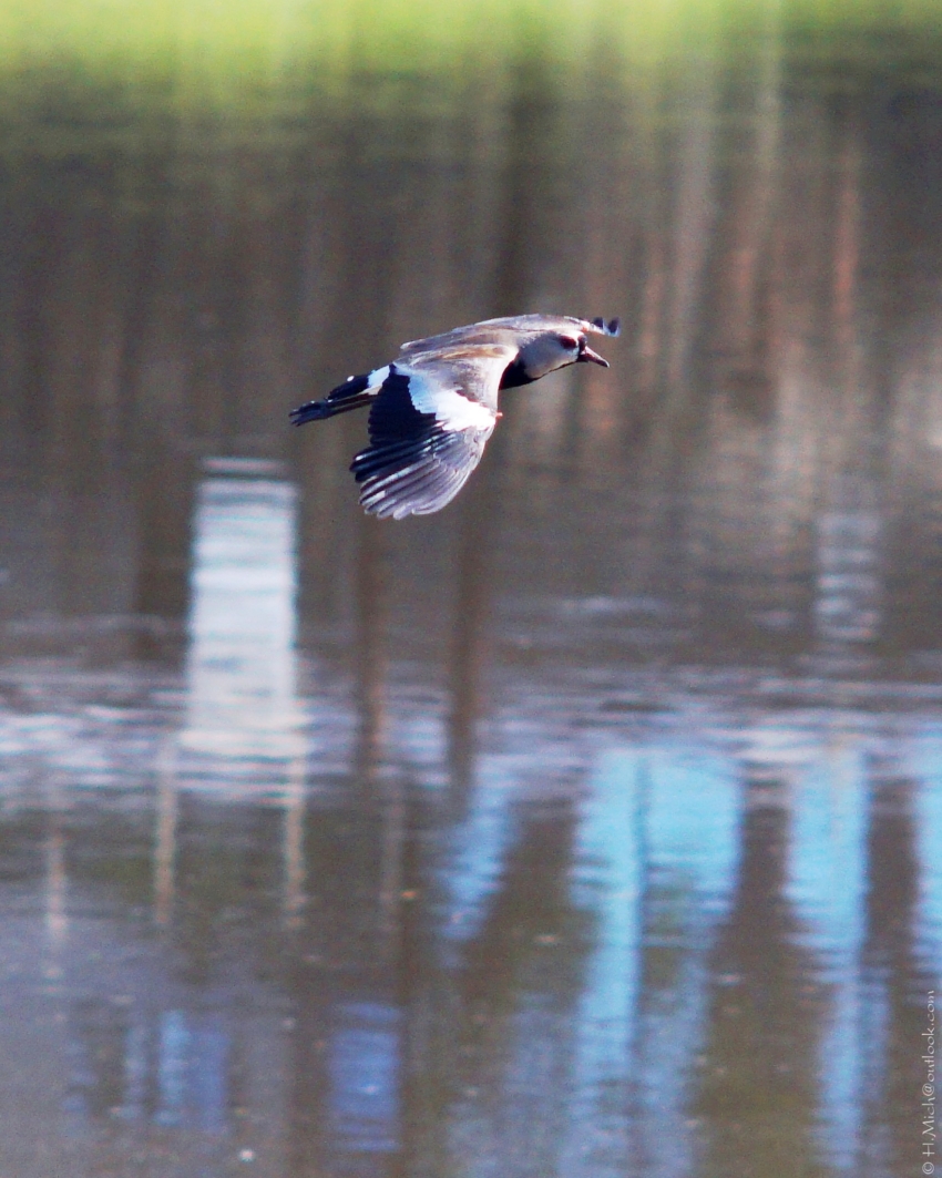 Studio-One.Art.br Repo Fotografia em Rio Preto SP/Brasil