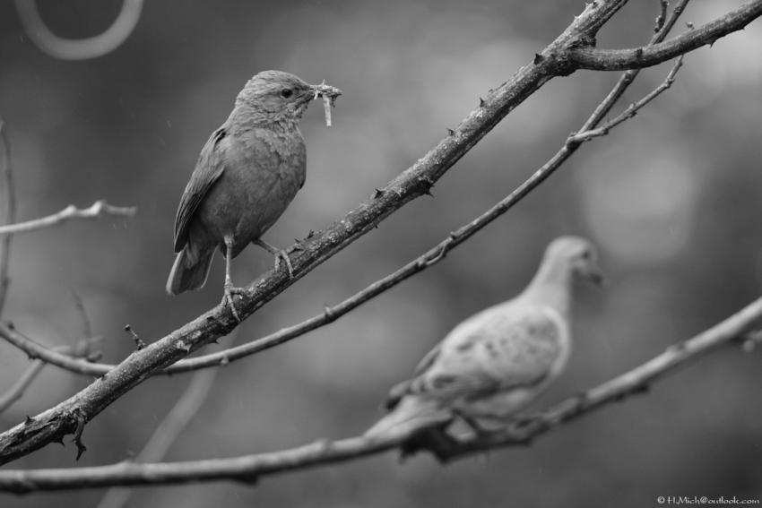 Studio-One.Art.br Repo Fotografia em Rio Preto SP/Brasil