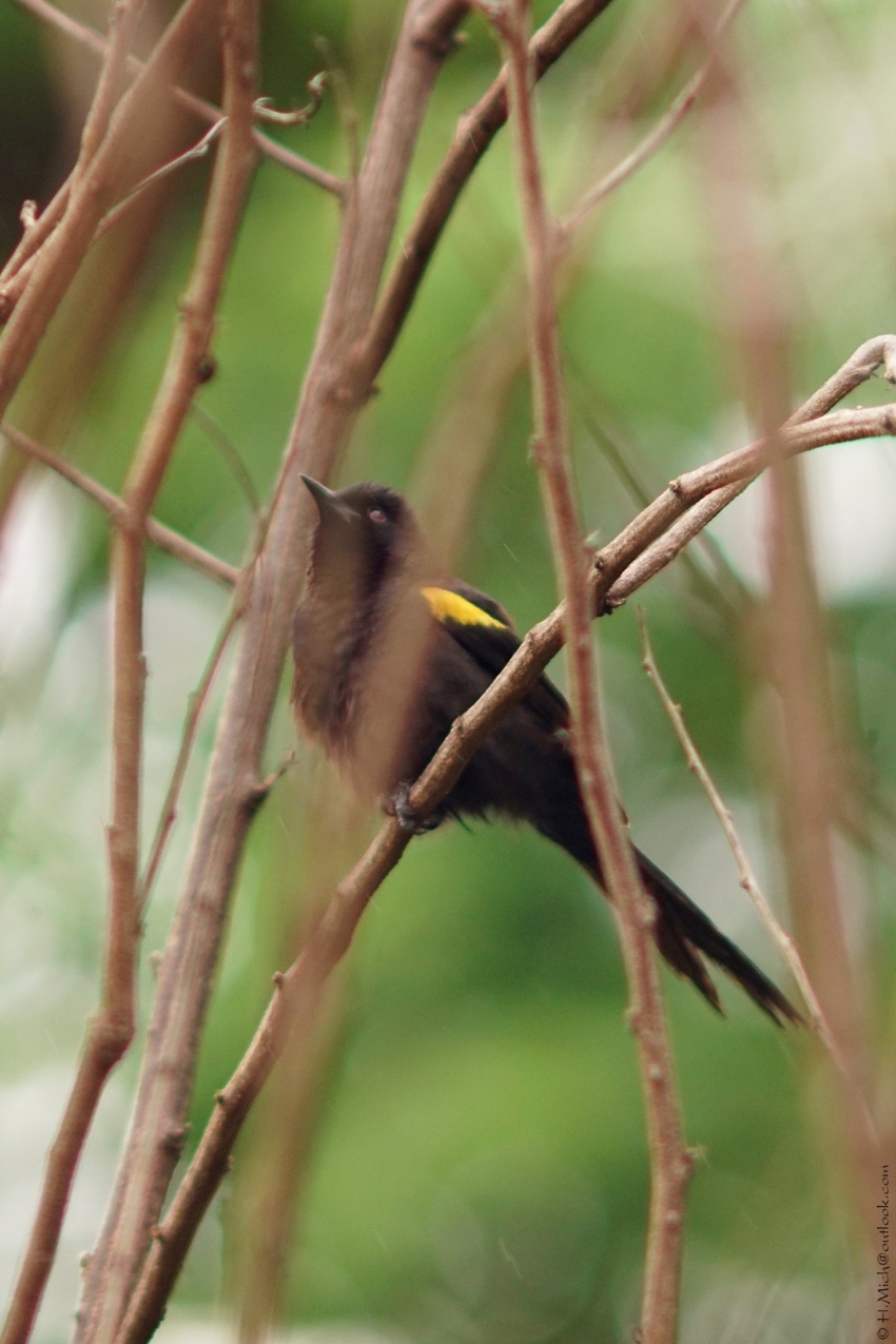 Studio-One.Art.br Repo Fotografia em Rio Preto SP/Brasil