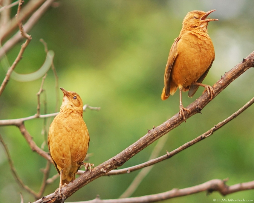 Studio-One.Art.br Repo Fotografia em Rio Preto SP/Brasil
