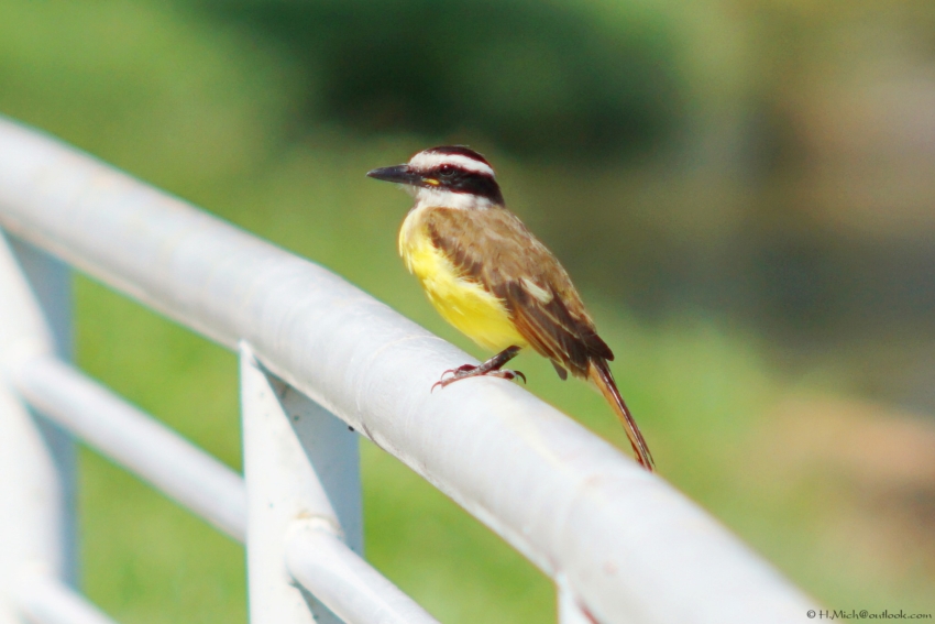 Studio-One.Art.br Repo Fotografia em Rio Preto SP/Brasil
