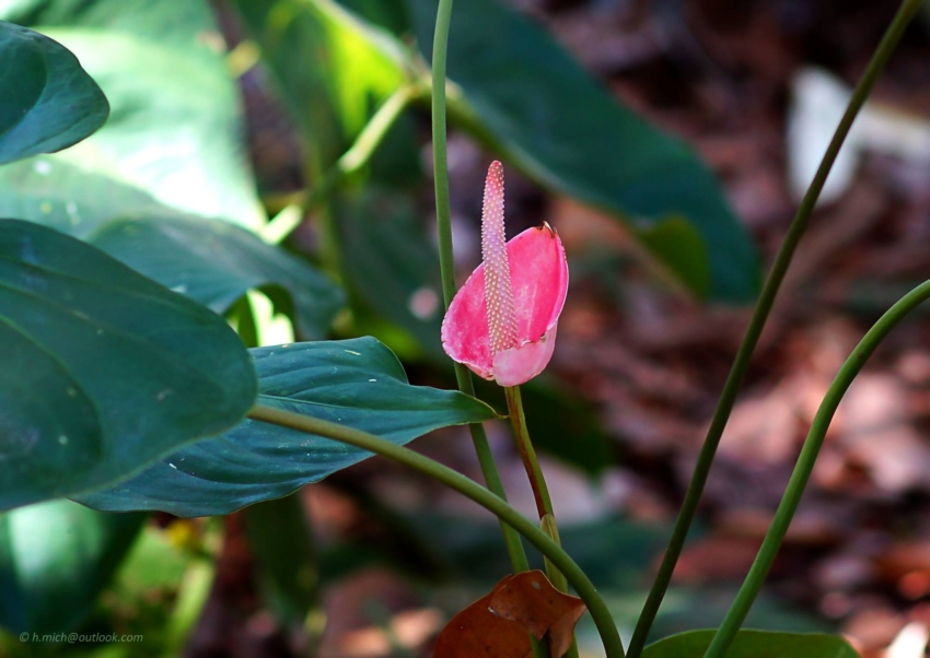 Studio-One.Art.br Repo Fotografia em Rio Preto SP/Brasil