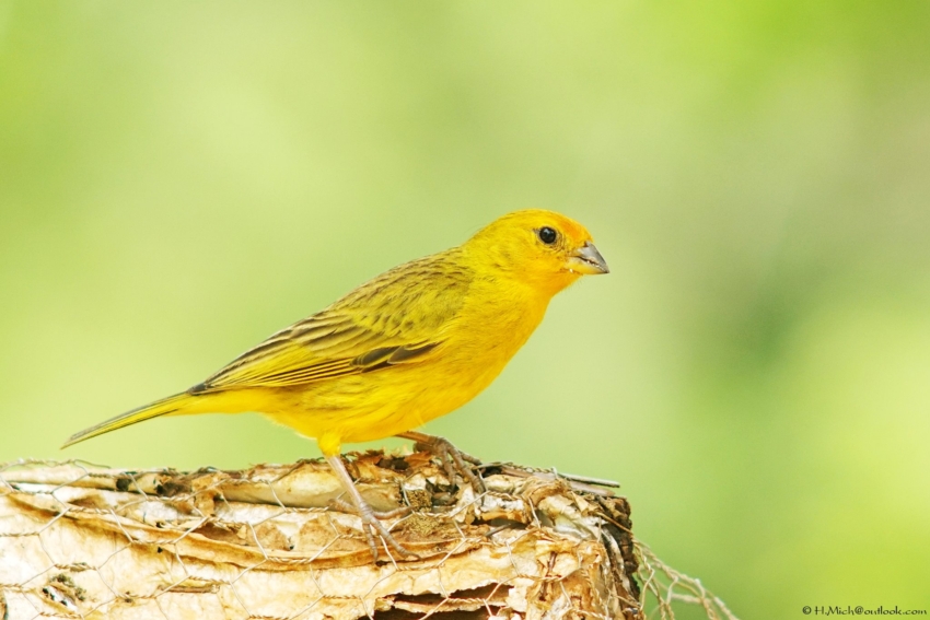 Studio-One.Art.br Repo Fotografia em Rio Preto SP/Brasil