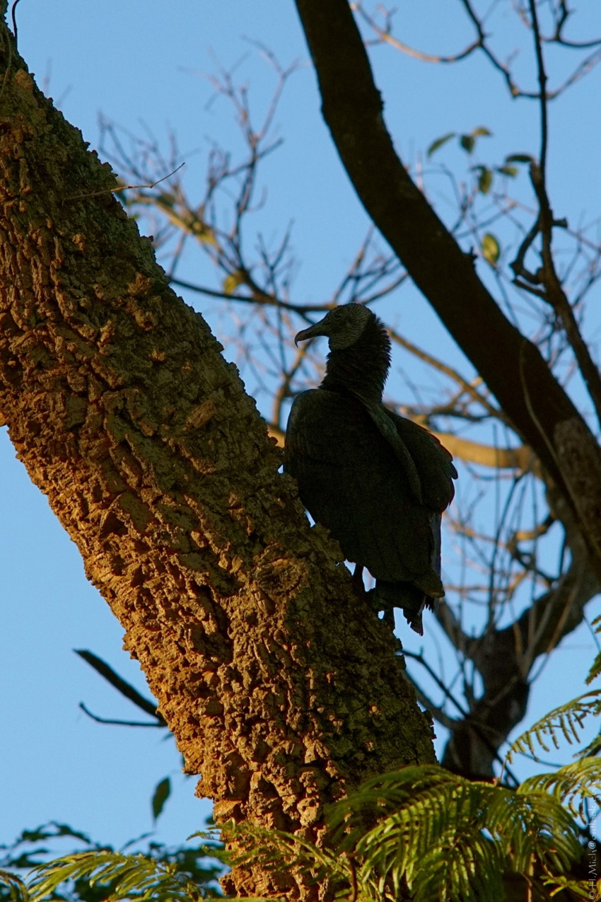 Studio-One.Art.br Repo Fotografia em Rio Preto SP/Brasil