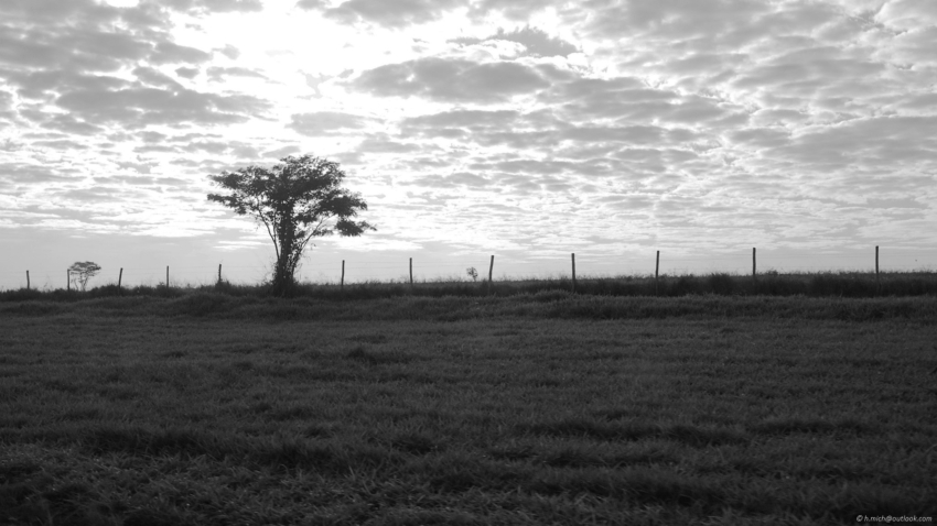 Studio-One.Art.br Repo Fotografia em Rio Preto SP/Brasil