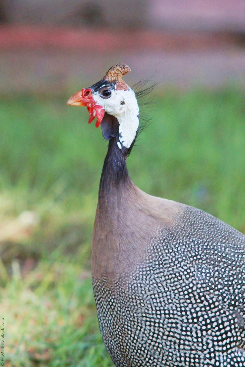 Studio-One.Art.br Repo Fotografia em Rio Preto SP/Brasil