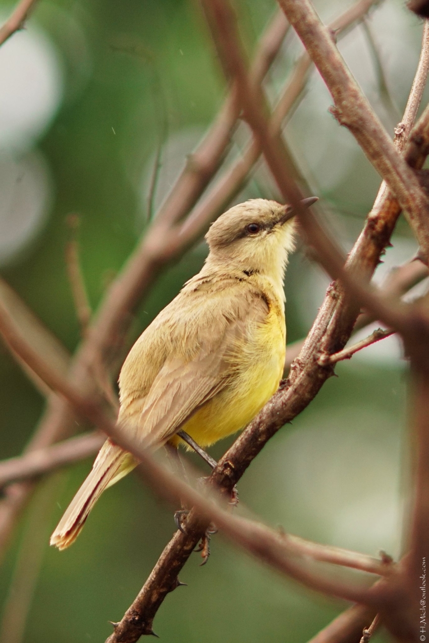 Studio-One.Art.br Repo Fotografia em Rio Preto SP/Brasil