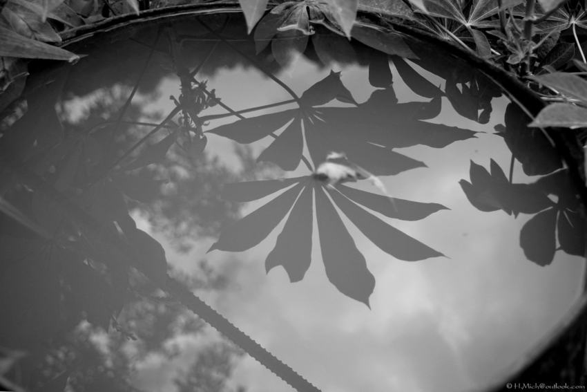 Studio-One.Art.br Repo Fotografia em Rio Preto SP/Brasil