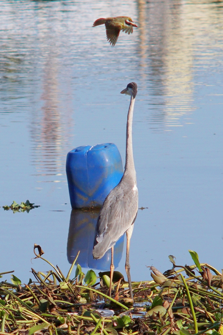 Studio-One.Art.br Repo Fotografia em Rio Preto SP/Brasil