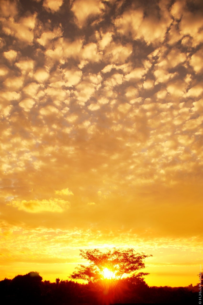 Studio-One.Art.br Repo Fotografia em Rio Preto SP/Brasil