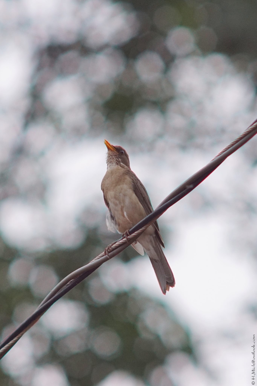 Studio-One.Art.br Repo Fotografia em Rio Preto SP/Brasil