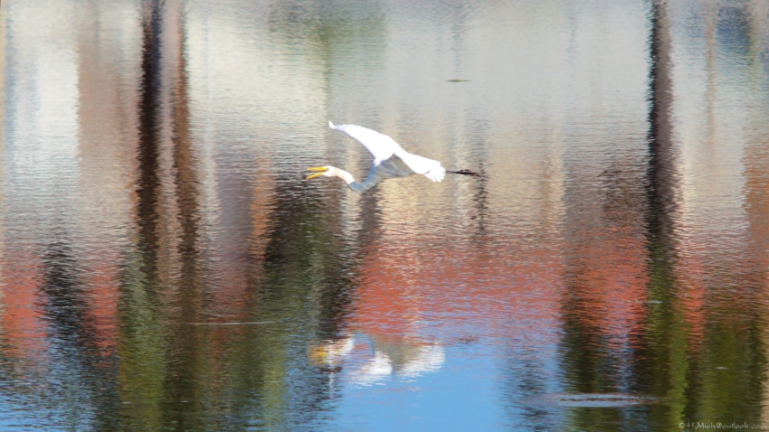 Studio-One.Art.br Repo Fotografia em Rio Preto SP/Brasil