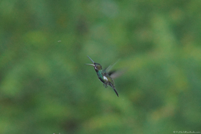 Studio-One.Art.br Repo Fotografia em Rio Preto SP/Brasil