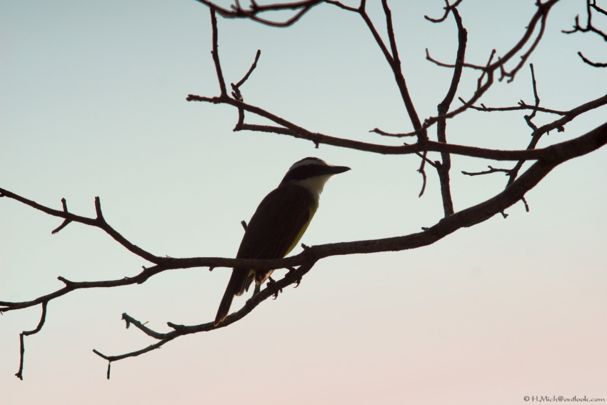 Studio-One.Art.br Repo Fotografia em Rio Preto SP/Brasil