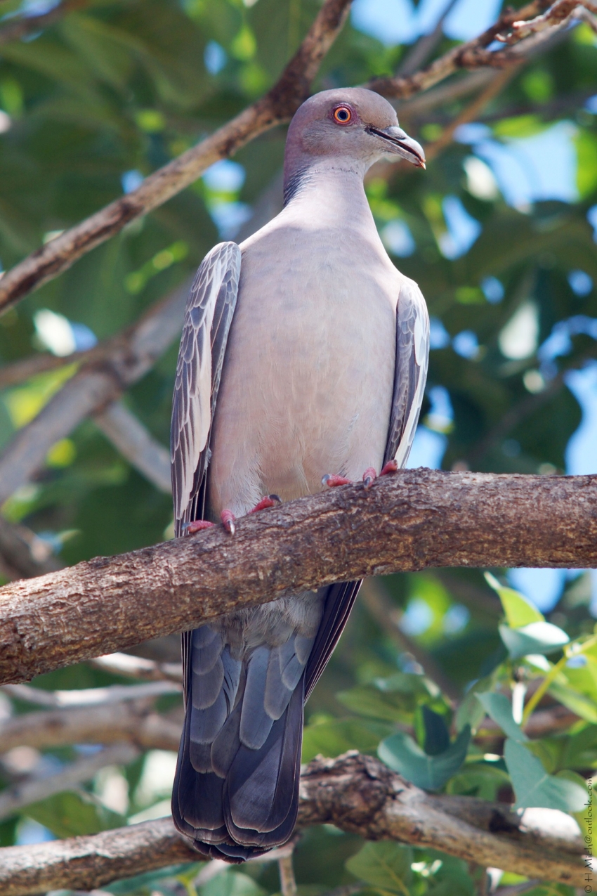Studio-One.Art.br Repo Fotografia em Rio Preto SP/Brasil