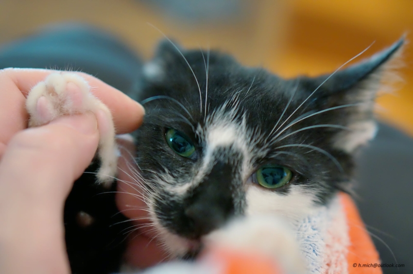 Studio-One.Art.br Repo Fotografia em Rio Preto SP/Brasil