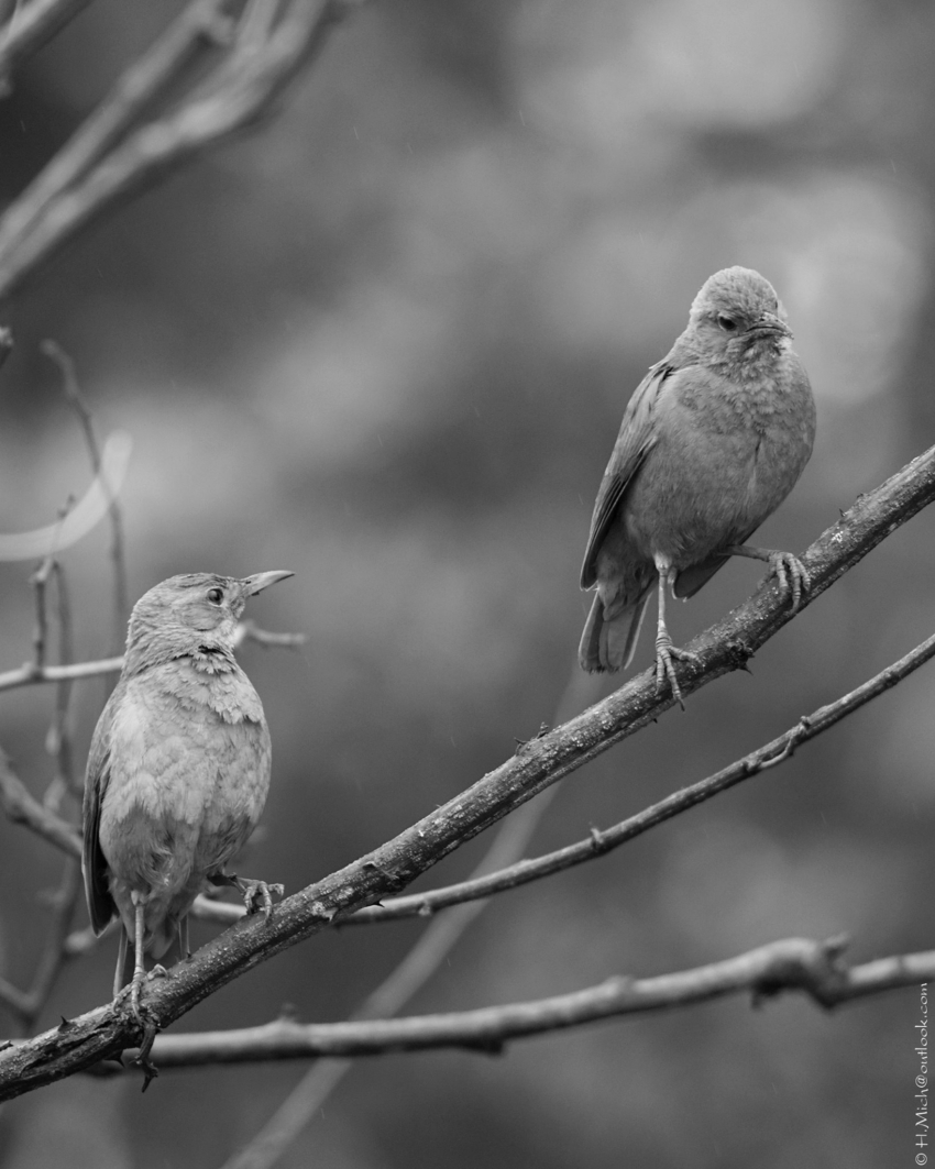Studio-One.Art.br Repo Fotografia em Rio Preto SP/Brasil