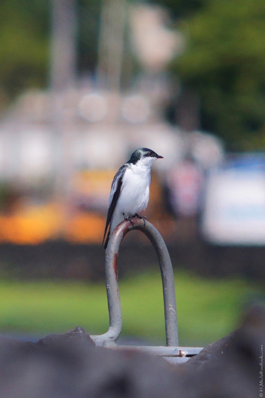 Studio-One.Art.br Repo Fotografia em Rio Preto SP/Brasil