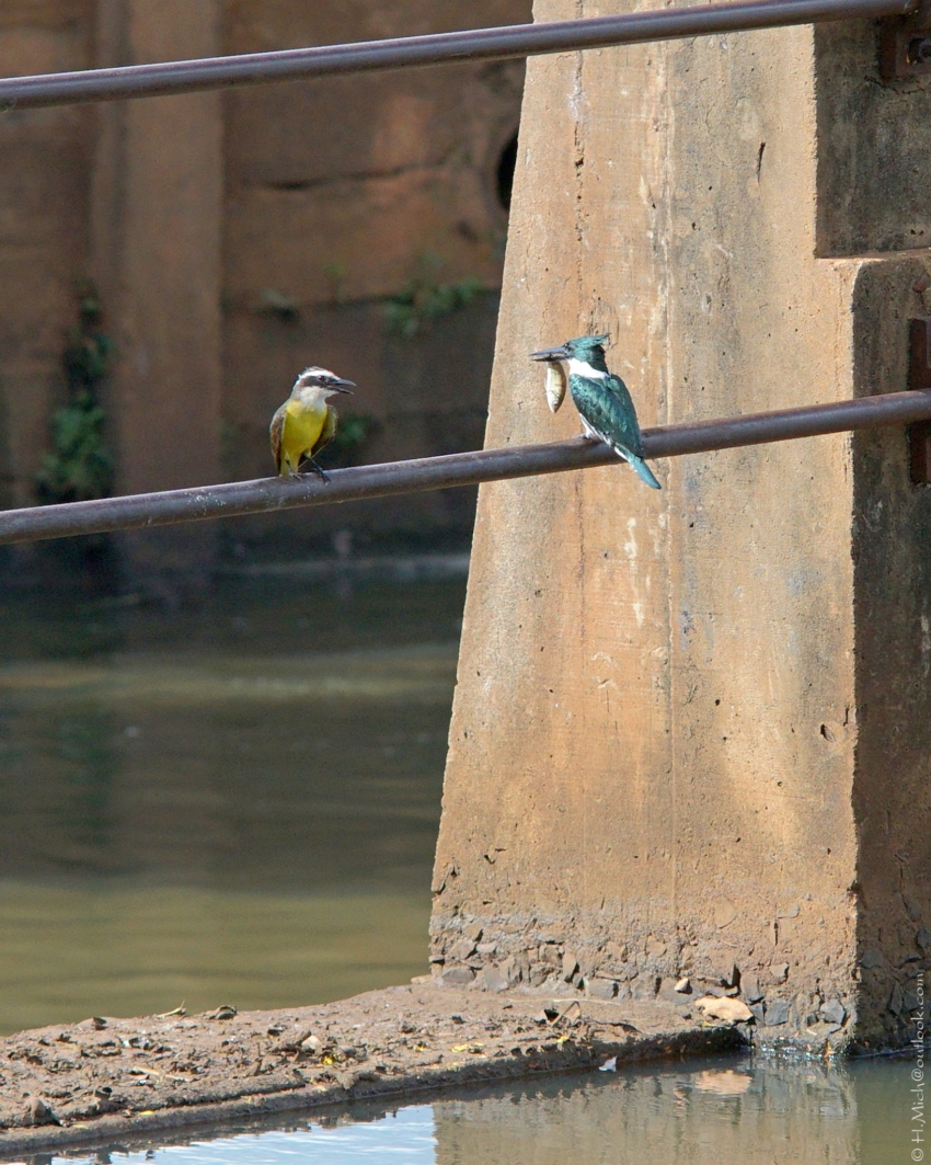 Studio-One.Art.br Repo Fotografia em Rio Preto SP/Brasil