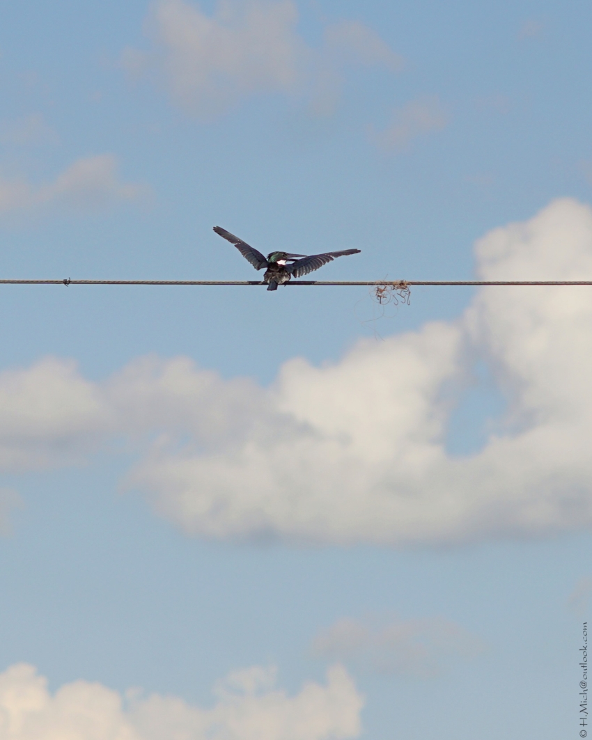 Studio-One.Art.br Repo Fotografia em Rio Preto SP/Brasil