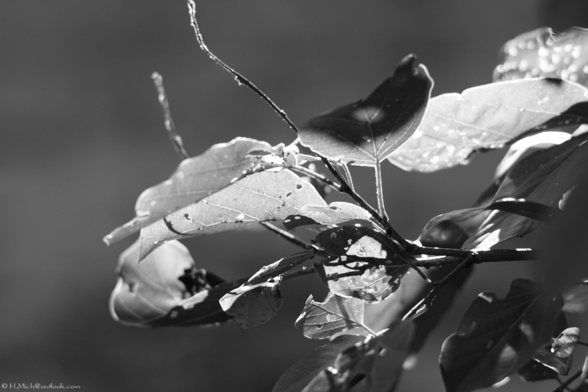 Studio-One.Art.br Repo Fotografia em Rio Preto SP/Brasil