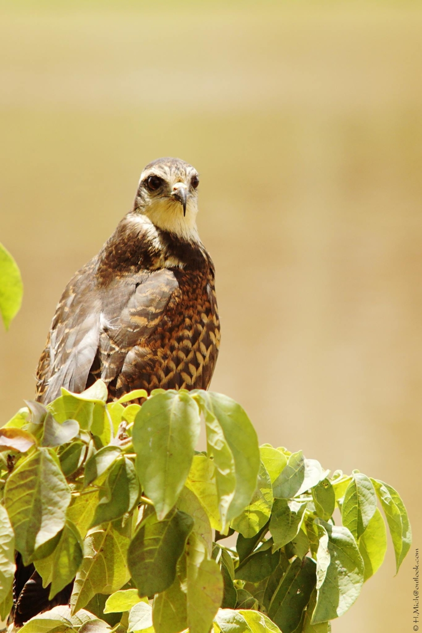 Studio-One.Art.br Repo Fotografia em Rio Preto SP/Brasil