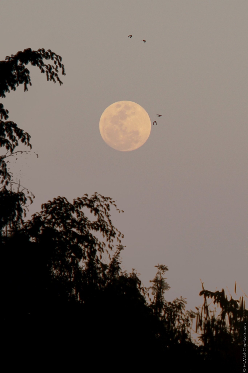 Studio-One.Art.br Repo Fotografia em Rio Preto SP/Brasil
